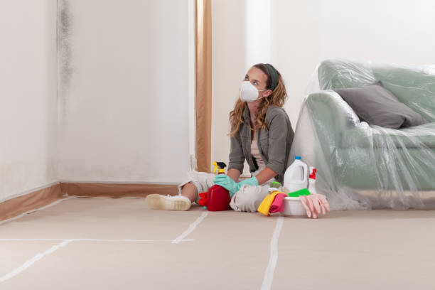 Reliable Mold Cleanup contractor in Linthicum Heights, MD by Cheap Mold Removal